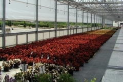 ATI Greenhouse Improvements - 2